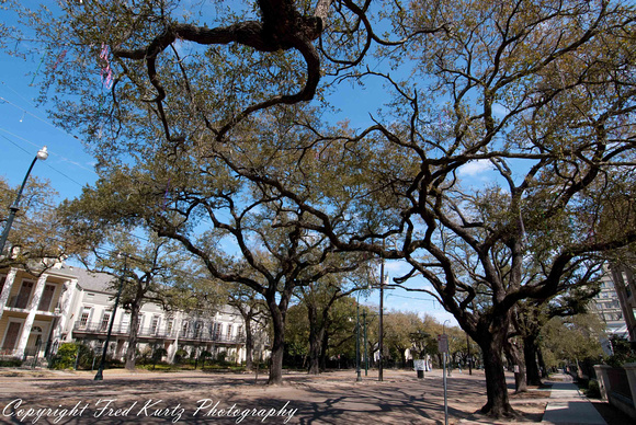 Garden District